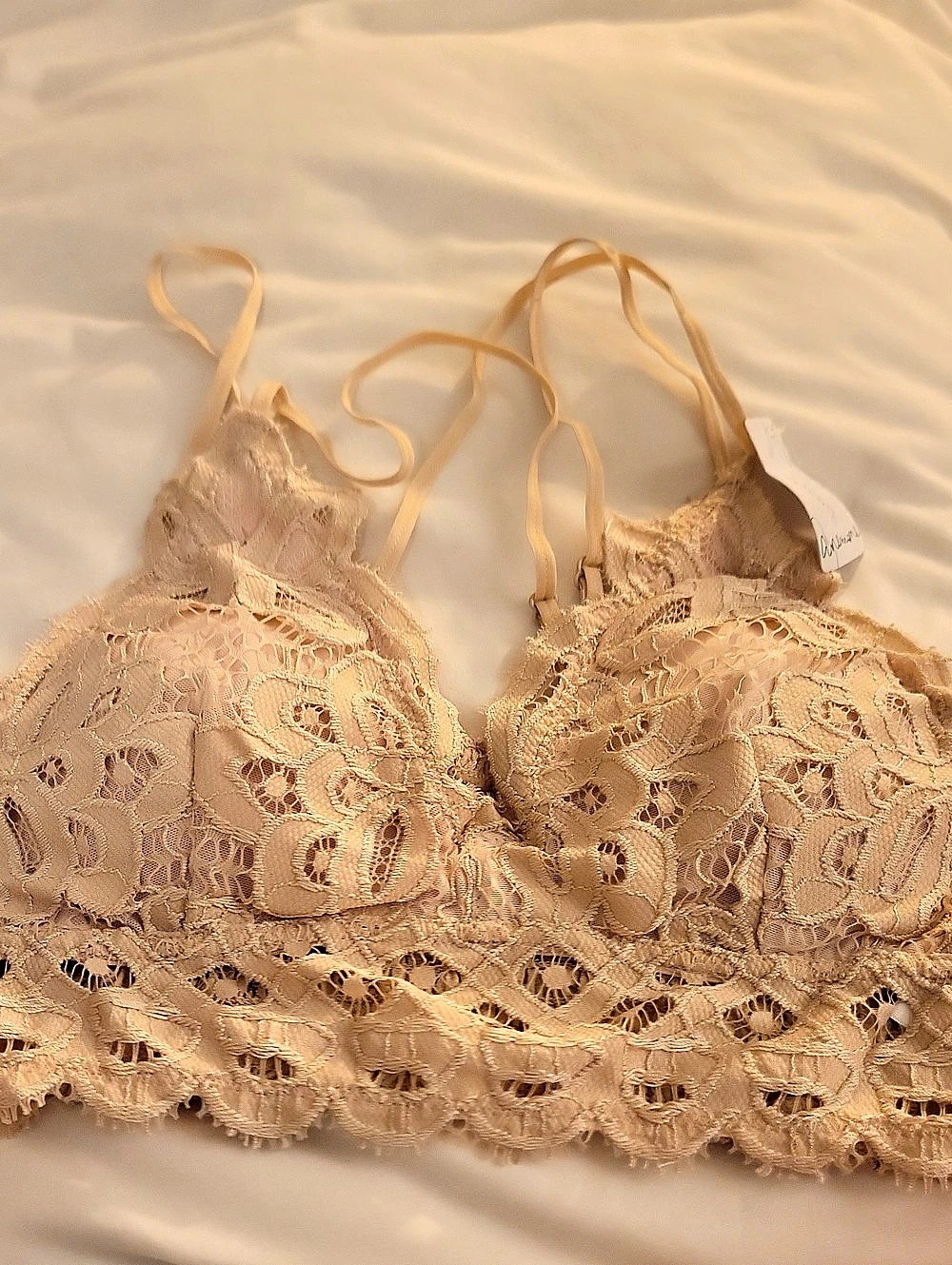 Anemone Lace Bra in Beige